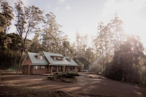 Eaglehawk Lodge Oceanview retreat on Pirate Bay, Eaglehawk Neck